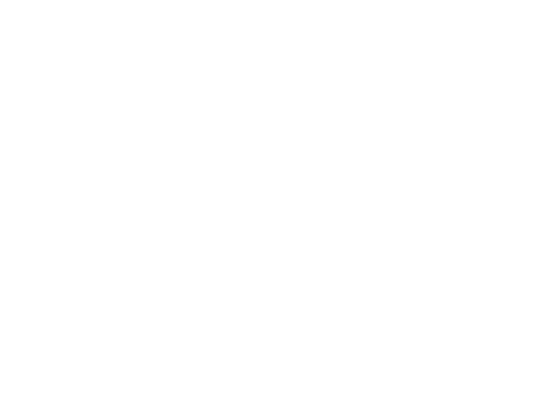 ANDI